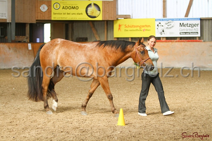 24-ApHC HIH_114.jpg
